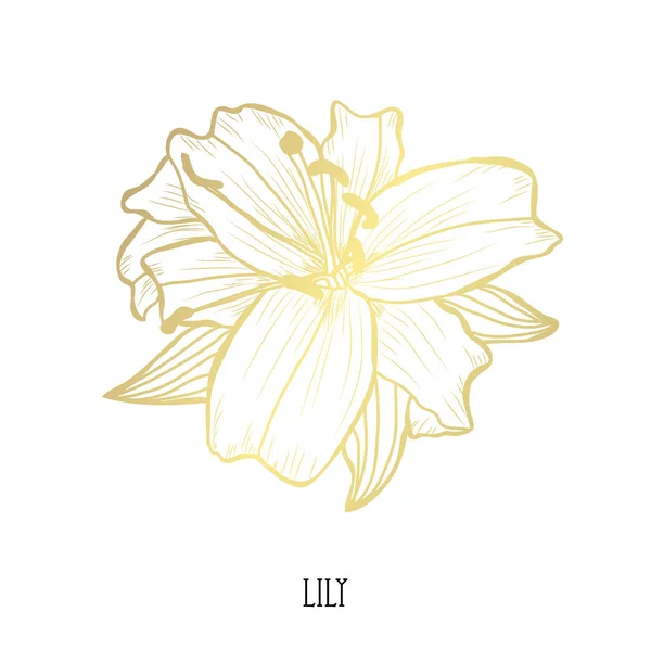Dekoratif Lily Çiçek Tasarım Öğesi Tasarımını Yazdırma Kartları Davetiyeleri Afişler — Stok Vektör