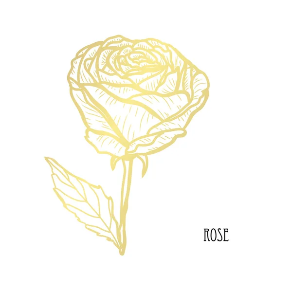 装飾的なバラの花のデザイン要素 カード 招待状 バナー ポスターに使用することができます デザインを印刷します 黄金の花 — ストックベクタ