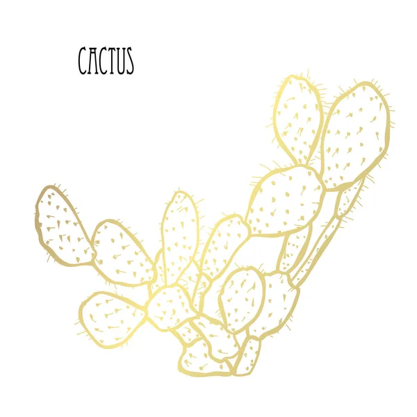 Dekorativní Kaktus Rostlin Designový Prvek Lze Použít Pro Karty Pozvánky — Stockový vektor