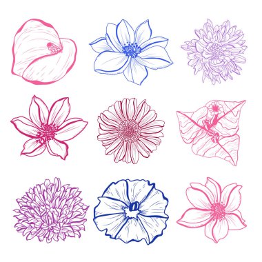 Dekoratif elle çizilmiş çiçekler ayarla, tasarım öğeleri. Tasarımını yazdırma, kartları, davetiyeleri, afişler, posterler için kullanılabilir. Çiçek arka planda satır sanat tarzı