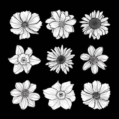 Dekoratif elle çizilmiş çiçekler ayarla, tasarım öğeleri. Tasarımını yazdırma, kartları, davetiyeleri, afişler, posterler için kullanılabilir. Çiçek arka planda satır sanat tarzı