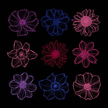 Dekoratif elle çizilmiş çiçekler ayarla, tasarım öğeleri. Tasarımını yazdırma, kartları, davetiyeleri, afişler, posterler için kullanılabilir. Çiçek arka planda satır sanat tarzı