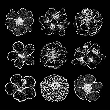 Dekoratif elle çizilmiş çiçekler ayarla, tasarım öğeleri. Tasarımını yazdırma, kartları, davetiyeleri, afişler, posterler için kullanılabilir. Çiçek arka planda satır sanat tarzı