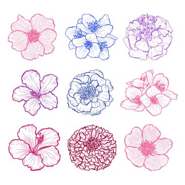 Dekoratif elle çizilmiş çiçekler ayarla, tasarım öğeleri. Tasarımını yazdırma, kartları, davetiyeleri, afişler, posterler için kullanılabilir. Çiçek arka planda satır sanat tarzı