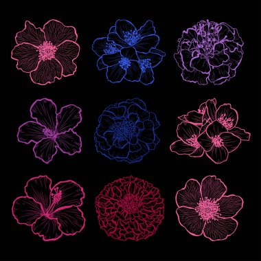 Dekoratif elle çizilmiş çiçekler ayarla, tasarım öğeleri. Tasarımını yazdırma, kartları, davetiyeleri, afişler, posterler için kullanılabilir. Çiçek arka planda satır sanat tarzı