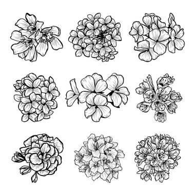 Dekoratif elle çizilmiş çiçekler ayarla, tasarım öğeleri. Tasarımını yazdırma, kartları, davetiyeleri, afişler, posterler için kullanılabilir. Çiçek arka planda satır sanat tarzı