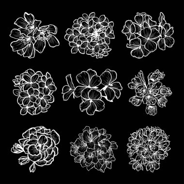 Dekoratif elle çizilmiş çiçekler ayarla, tasarım öğeleri. Tasarımını yazdırma, kartları, davetiyeleri, afişler, posterler için kullanılabilir. Çiçek arka planda satır sanat tarzı