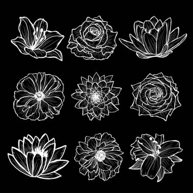 Dekoratif elle çizilmiş çiçekler ayarla, tasarım öğeleri. Tasarımını yazdırma, kartları, davetiyeleri, afişler, posterler için kullanılabilir. Çiçek arka planda satır sanat tarzı