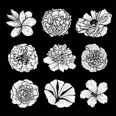 Dekoratif elle çizilmiş çiçekler ayarla, tasarım öğeleri. Tasarımını yazdırma, kartları, davetiyeleri, afişler, posterler için kullanılabilir. Çiçek arka planda satır sanat tarzı