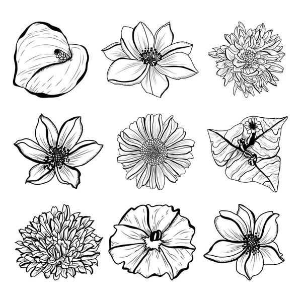 Dekoratif Elle Çizilmiş Çiçekler Ayarla Tasarım Öğeleri Tasarımını Yazdırma Kartları — Stok Vektör