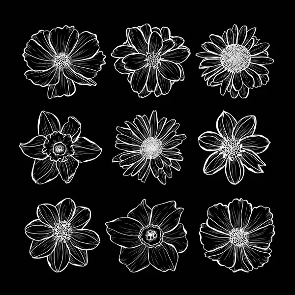 Conjunto Decorativo Flores Dibujadas Mano Elementos Diseño Puede Utilizar Para — Archivo Imágenes Vectoriales