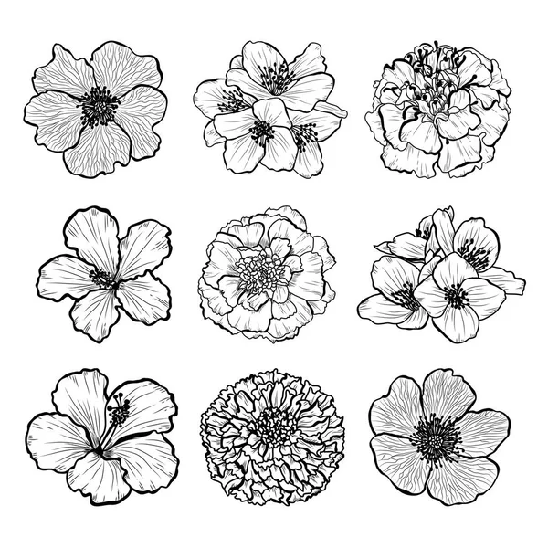Kwiaty Dekoracyjne Ręcznie Rysowane Zestaw Elementy Projektu Mogą Być Używane — Wektor stockowy