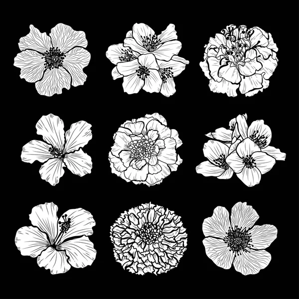 Dekoratif Elle Çizilmiş Çiçekler Ayarla Tasarım Öğeleri Tasarımını Yazdırma Kartları — Stok Vektör