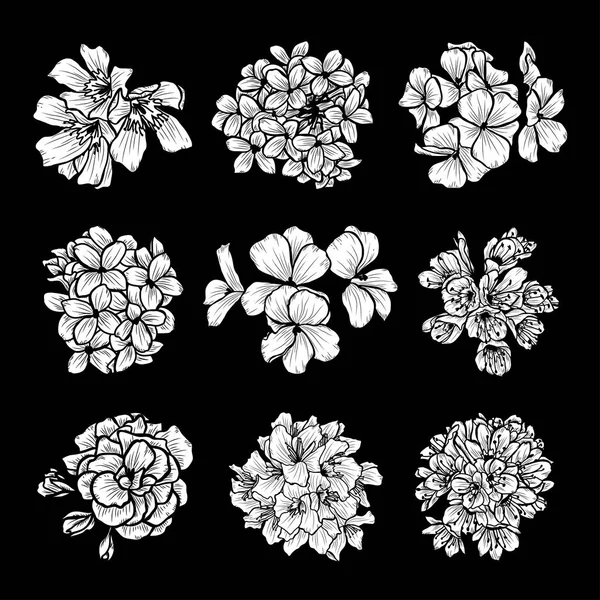 Conjunto Flores Decorativas Desenhadas Mão Elementos Design Pode Ser Usado — Vetor de Stock