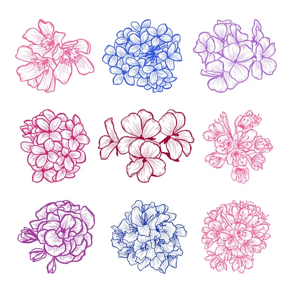 Dekorativa Handritad Blommor Satt Designelement Kan Användas För Kort Inbjudningar — Stock vektor