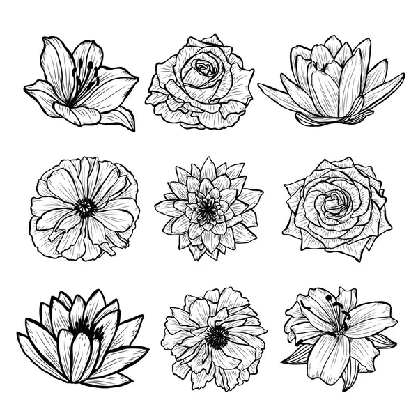 Decorative Hand Drawn Flowers Set Design Elements Can Used Cards — Stock Vector