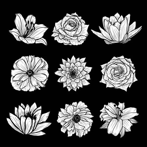Set Fleurs Décoratives Dessinées Main Éléments Design Peut Être Utilisé — Image vectorielle
