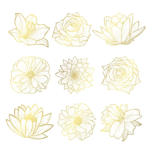 Dekorativní Ručně Kreslené Květiny Designovými Prvky Lze Použít Pro Karty — Stockový vektor