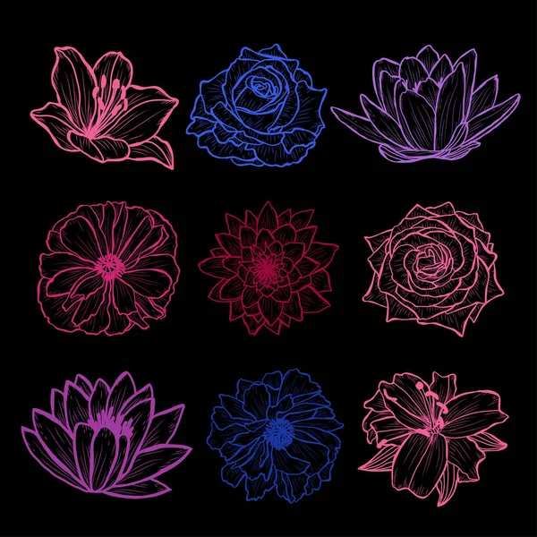 Conjunto Decorativo Flores Dibujadas Mano Elementos Diseño Puede Utilizar Para — Vector de stock