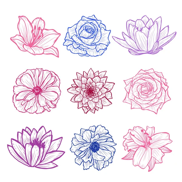 Decorative Hand Drawn Flowers Set Design Elements Can Used Cards — Stock Vector