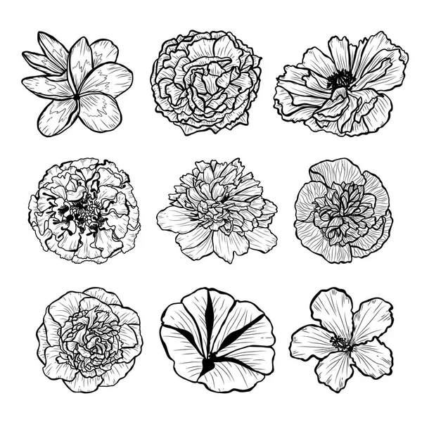 Λουλούδια Διακοσμητικά Χέρι Σύνολο Σχεδιαστικά Στοιχεία Μπορεί Χρησιμοποιηθεί Για Κάρτες — Διανυσματικό Αρχείο