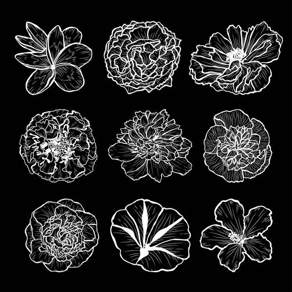 Decorative Hand Drawn Flowers Set Design Elements Can Used Cards — Stock Vector