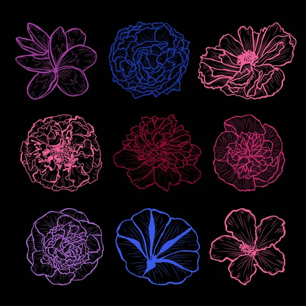 Conjunto Decorativo Flores Dibujadas Mano Elementos Diseño Puede Utilizar Para — Archivo Imágenes Vectoriales