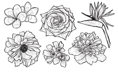 Dekoratif çiçekler ayarla, tasarım öğeleri. Tasarımını yazdırma, kartları, davetiyeleri, afişler, posterler için kullanılabilir. Çiçek arka planda satır sanat tarzı