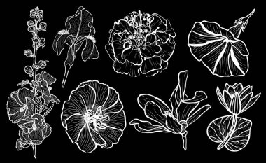 Dekoratif çiçekler ayarla, tasarım öğeleri. Tasarımını yazdırma, kartları, davetiyeleri, afişler, posterler için kullanılabilir. Çiçek arka planda satır sanat tarzı