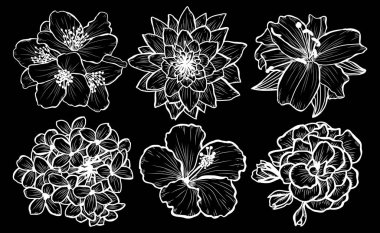 Dekoratif çiçekler ayarla, tasarım öğeleri. Tasarımını yazdırma, kartları, davetiyeleri, afişler, posterler için kullanılabilir. Çiçek arka planda satır sanat tarzı