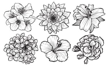 Dekoratif çiçekler ayarla, tasarım öğeleri. Tasarımını yazdırma, kartları, davetiyeleri, afişler, posterler için kullanılabilir. Çiçek arka planda satır sanat tarzı