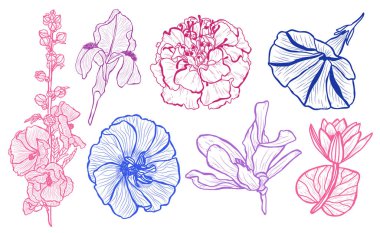 Dekoratif çiçekler ayarla, tasarım öğeleri. Tasarımını yazdırma, kartları, davetiyeleri, afişler, posterler için kullanılabilir. Çiçek arka planda satır sanat tarzı