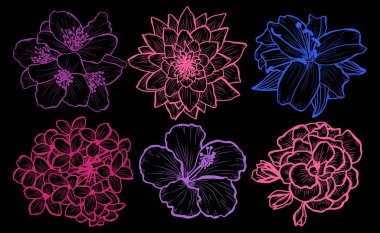 Dekoratif çiçekler ayarla, tasarım öğeleri. Tasarımını yazdırma, kartları, davetiyeleri, afişler, posterler için kullanılabilir. Çiçek arka planda satır sanat tarzı