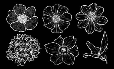 Dekoratif çiçekler ayarla, tasarım öğeleri. Tasarımını yazdırma, kartları, davetiyeleri, afişler, posterler için kullanılabilir. Çiçek arka planda satır sanat tarzı