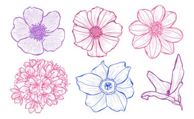 Dekoratif çiçekler ayarla, tasarım öğeleri. Tasarımını yazdırma, kartları, davetiyeleri, afişler, posterler için kullanılabilir. Çiçek arka planda satır sanat tarzı