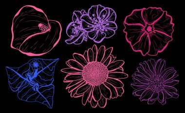 Dekoratif çiçekler ayarla, tasarım öğeleri. Tasarımını yazdırma, kartları, davetiyeleri, afişler, posterler için kullanılabilir. Çiçek arka planda satır sanat tarzı