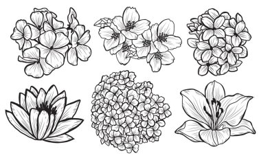 Dekoratif çiçekler ayarla, tasarım öğeleri. Tasarımını yazdırma, kartları, davetiyeleri, afişler, posterler için kullanılabilir. Çiçek arka planda satır sanat tarzı