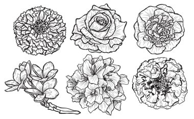 Dekoratif çiçekler ayarla, tasarım öğeleri. Tasarımını yazdırma, kartları, davetiyeleri, afişler, posterler için kullanılabilir. Çiçek arka planda satır sanat tarzı