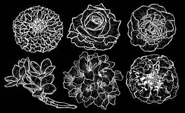 Dekoratif çiçekler ayarla, tasarım öğeleri. Tasarımını yazdırma, kartları, davetiyeleri, afişler, posterler için kullanılabilir. Çiçek arka planda satır sanat tarzı