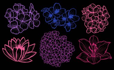 Dekoratif çiçekler ayarla, tasarım öğeleri. Tasarımını yazdırma, kartları, davetiyeleri, afişler, posterler için kullanılabilir. Çiçek arka planda satır sanat tarzı