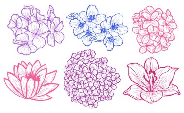 Dekoratif çiçekler ayarla, tasarım öğeleri. Tasarımını yazdırma, kartları, davetiyeleri, afişler, posterler için kullanılabilir. Çiçek arka planda satır sanat tarzı