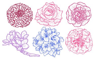 Dekoratif çiçekler ayarla, tasarım öğeleri. Tasarımını yazdırma, kartları, davetiyeleri, afişler, posterler için kullanılabilir. Çiçek arka planda satır sanat tarzı