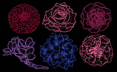 Dekoratif çiçekler ayarla, tasarım öğeleri. Tasarımını yazdırma, kartları, davetiyeleri, afişler, posterler için kullanılabilir. Çiçek arka planda satır sanat tarzı