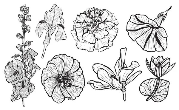 Set Fleurs Décoratives Éléments Design Peut Être Utilisé Pour Les — Image vectorielle