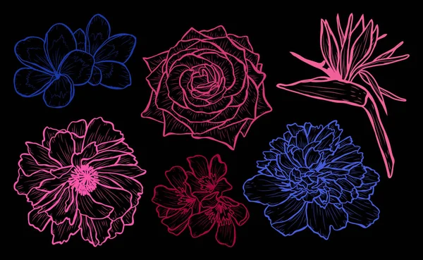 Dekoratif çiçekler ayarla, tasarım öğeleri. Tasarımını yazdırma, kartları, davetiyeleri, afişler, posterler için kullanılabilir. Çiçek arka planda satır sanat tarzı