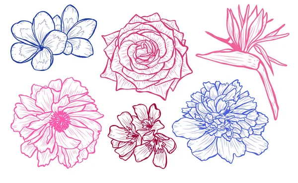 Dekoratif çiçekler ayarla, tasarım öğeleri. Tasarımını yazdırma, kartları, davetiyeleri, afişler, posterler için kullanılabilir. Çiçek arka planda satır sanat tarzı