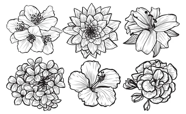 Dekoratif çiçekler ayarla, tasarım öğeleri. Tasarımını yazdırma, kartları, davetiyeleri, afişler, posterler için kullanılabilir. Çiçek arka planda satır sanat tarzı