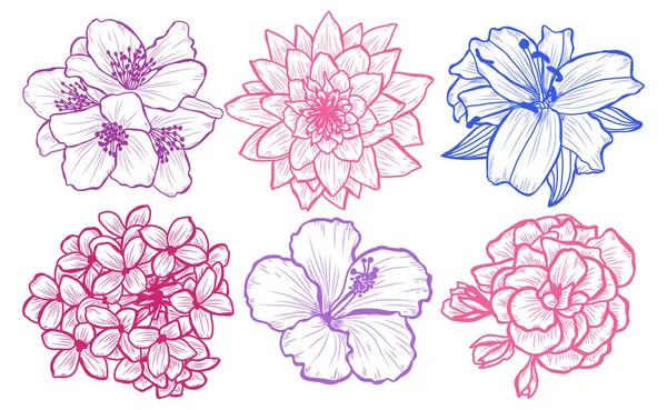 Dekoratif çiçekler ayarla, tasarım öğeleri. Tasarımını yazdırma, kartları, davetiyeleri, afişler, posterler için kullanılabilir. Çiçek arka planda satır sanat tarzı