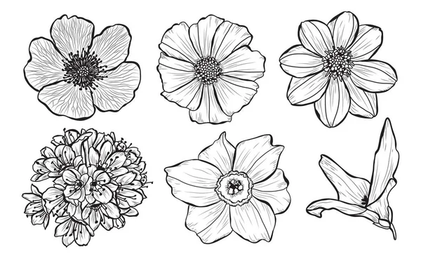 Διακοσμητικά Λουλούδια Που Σχεδιαστικά Στοιχεία Μπορεί Χρησιμοποιηθεί Για Κάρτες Προσκλήσεις — Διανυσματικό Αρχείο