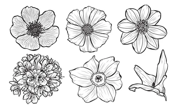 Set Fleurs Décoratives Éléments Design Peut Être Utilisé Pour Les — Image vectorielle